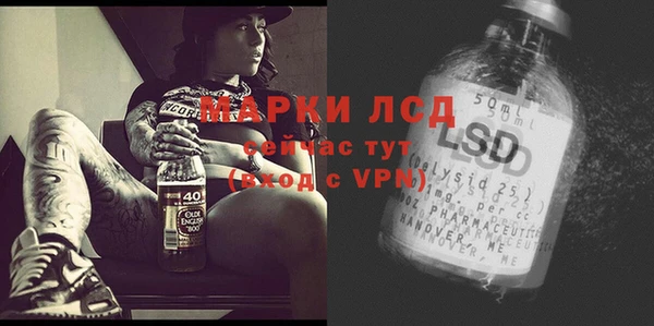 сатива Киренск